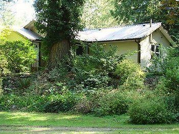 Cabins And Campground At Cultus Lake Park 호텔 칠리왝 외부 사진